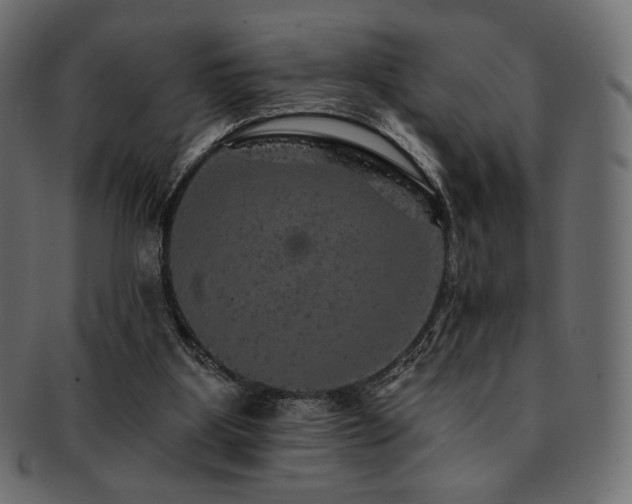 X0000093130107200709261356