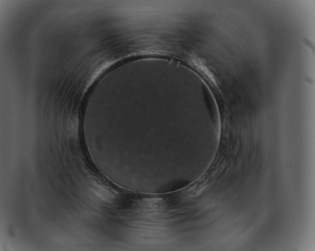 X0000093130108200709261356