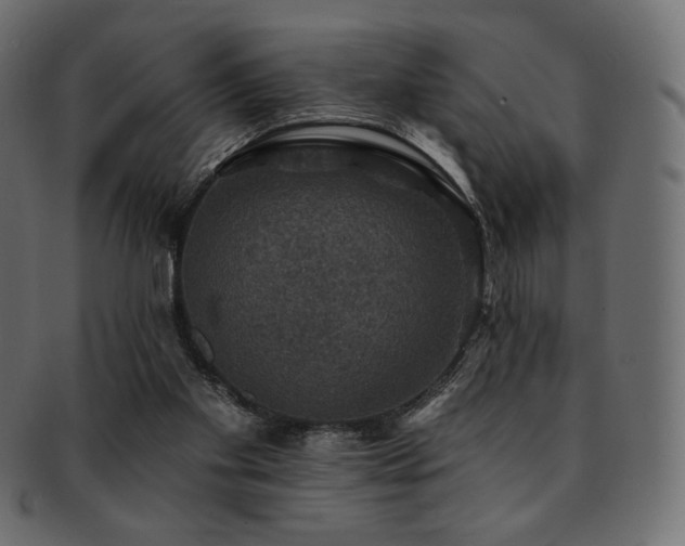 X0000093130109200709261356