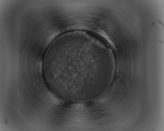 X0000093130110200709261356