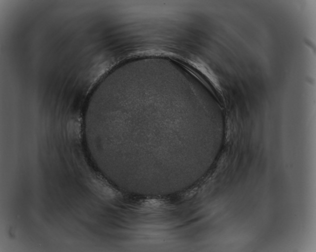X0000093130111200709261356