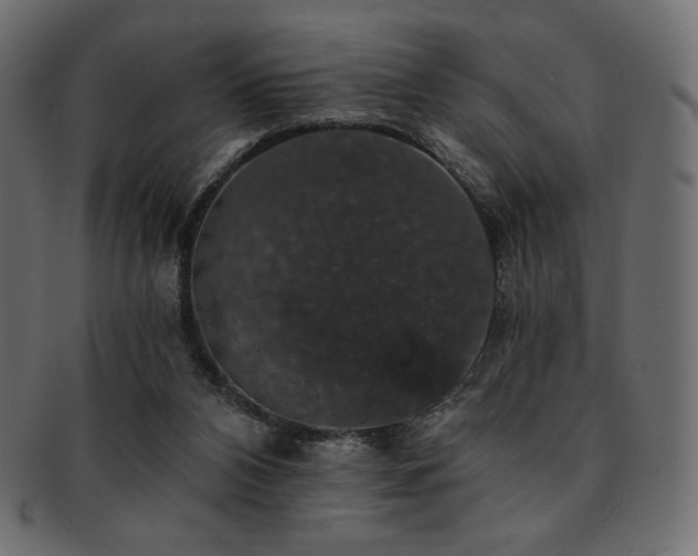 X0000093130112200709261356