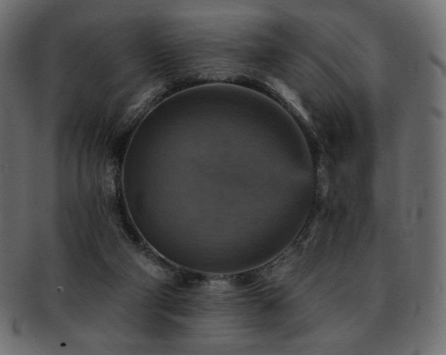 X0000093130114200709261356