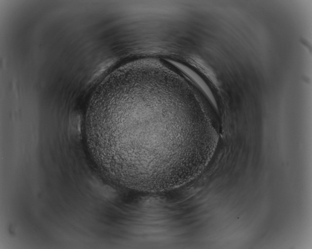 X0000093130115200709261356