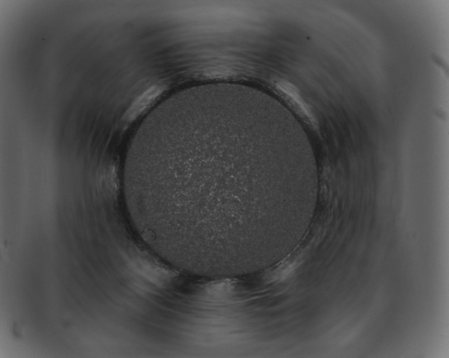X0000093130116200709261356