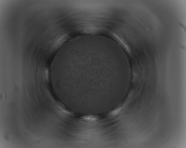 X0000093130117200709261356