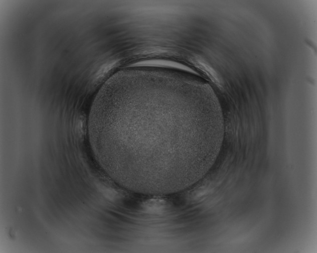 X0000093130119200709261356