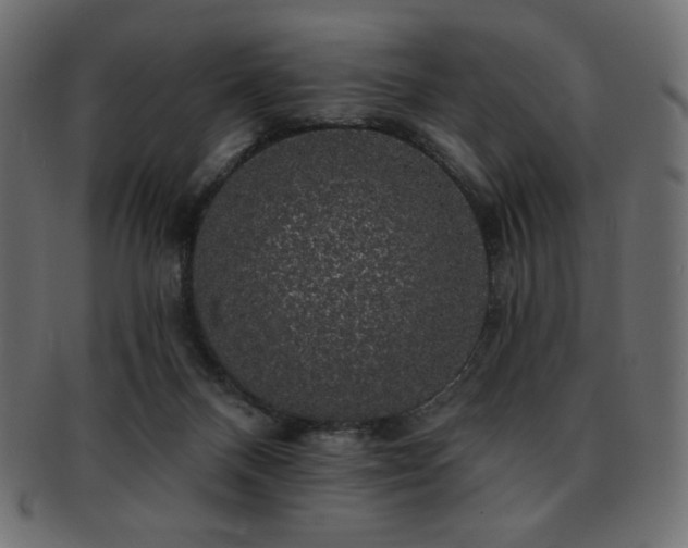 X0000093130120200709261356