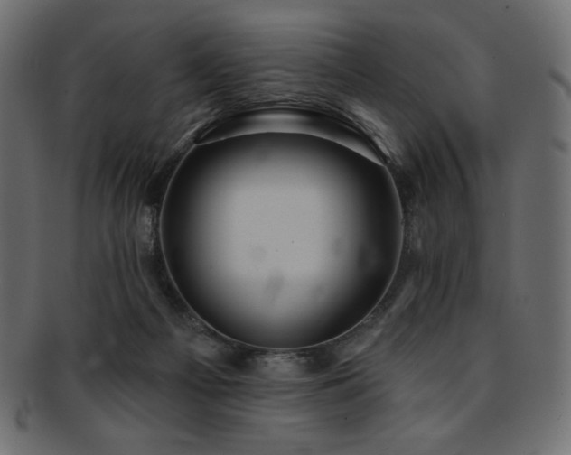 X0000093130121200709261356