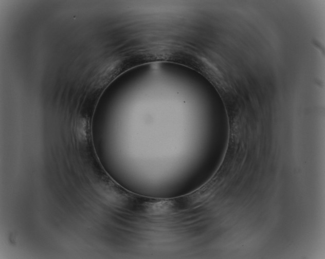 X0000093130122200709261356
