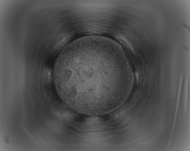 X0000093130123200709261356