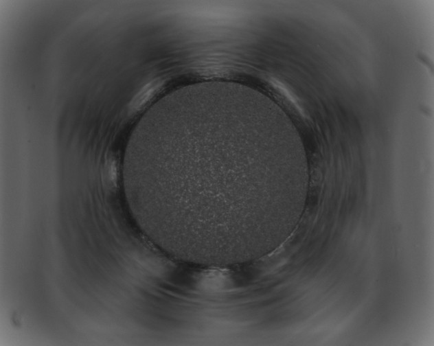 X0000093130124200709261356