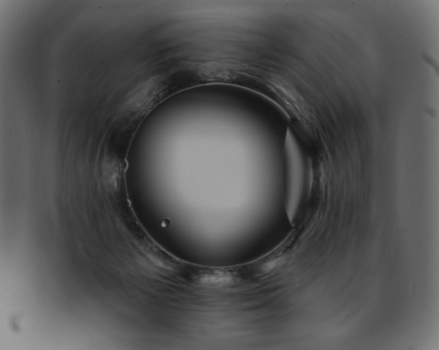 X0000093130125200709261356