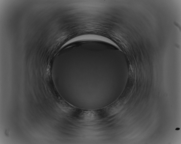 X0000093130127200709261356