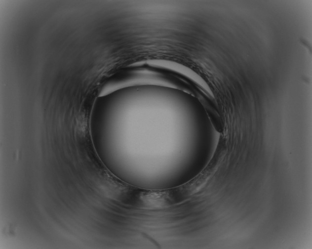X0000093130129200709261356