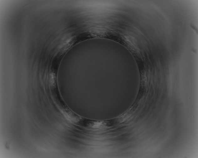 X0000093130130200709261356