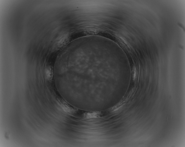 X0000093130134200709261356