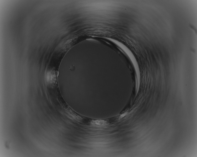 X0000093130137200709261356