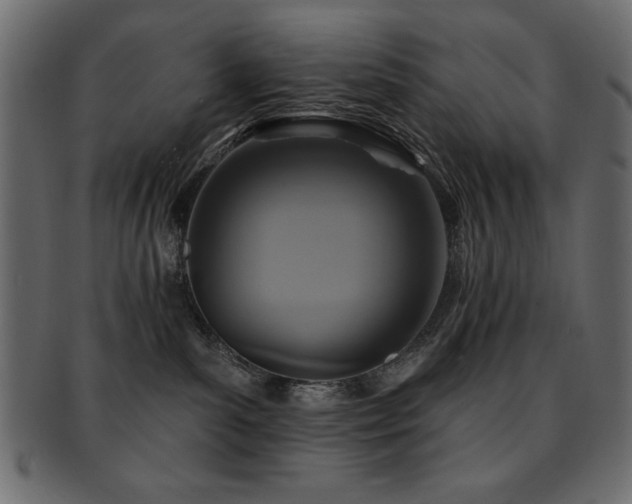 X0000093130139200709261356