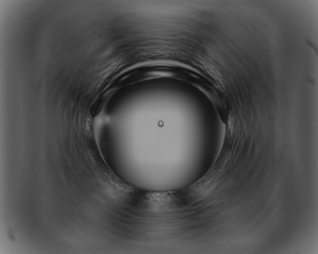 X0000093130141200709261356