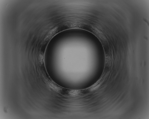 X0000093130142200709261356