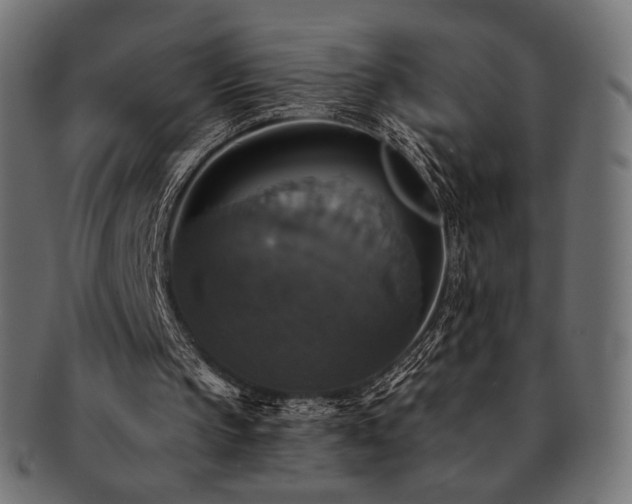 X0000093130145200709261355