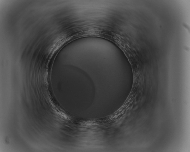 X0000093130146200709261355