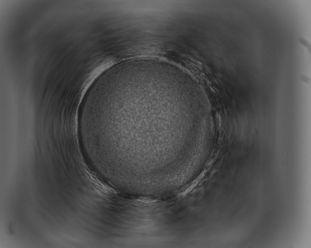 X0000093130148200709261355