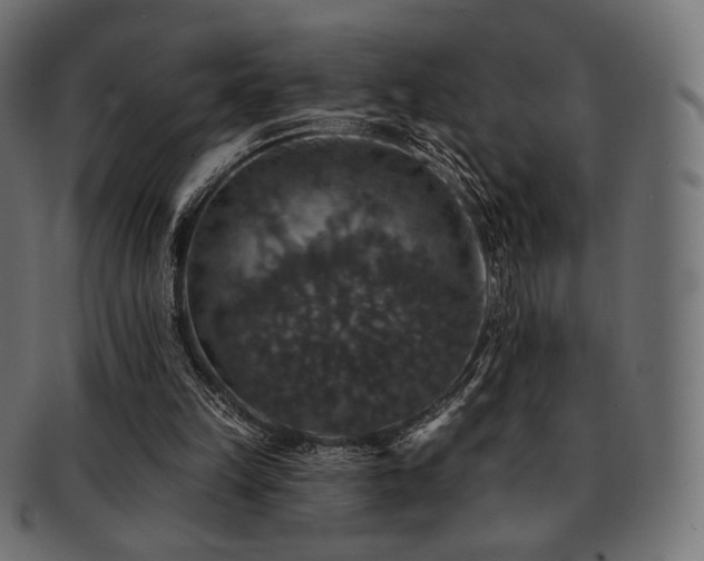 X0000093130149200709261355