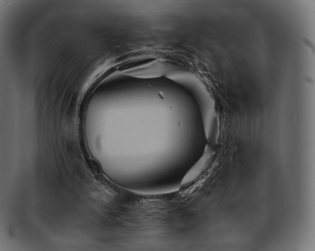 X0000093130150200709261355