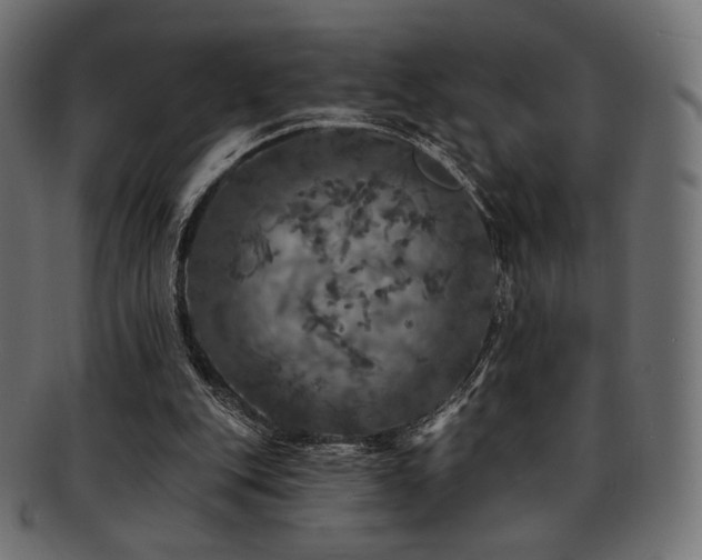 X0000093130151200709261355