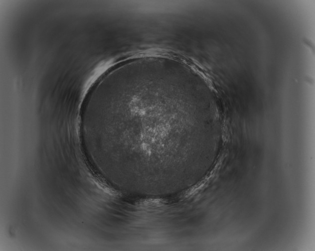 X0000093130152200709261355