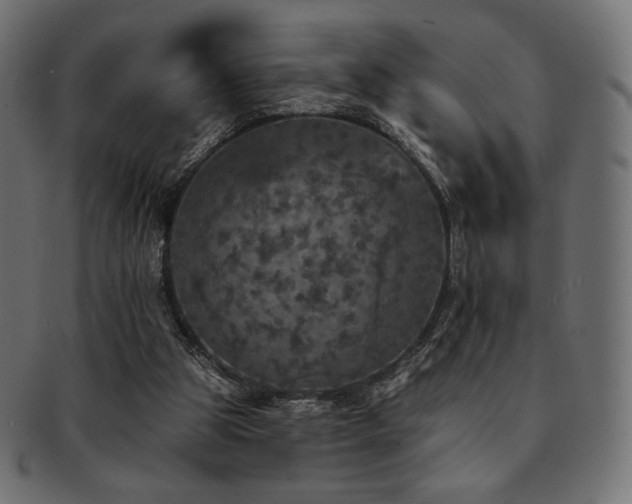 X0000093130153200709261355
