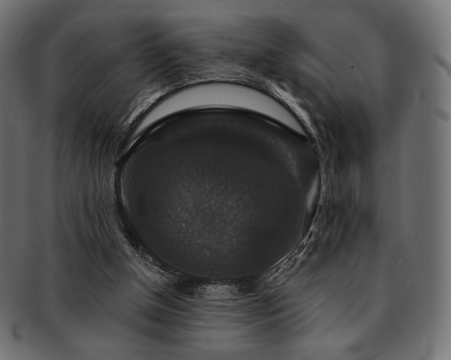 X0000093130154200709261355