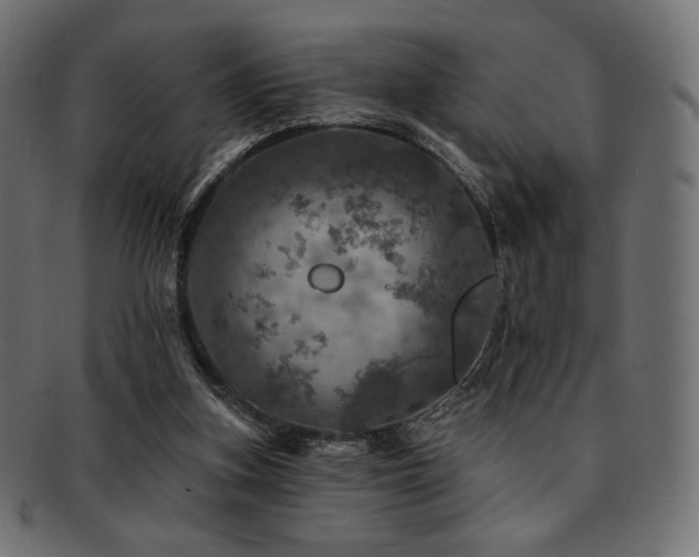 X0000093130155200709261355