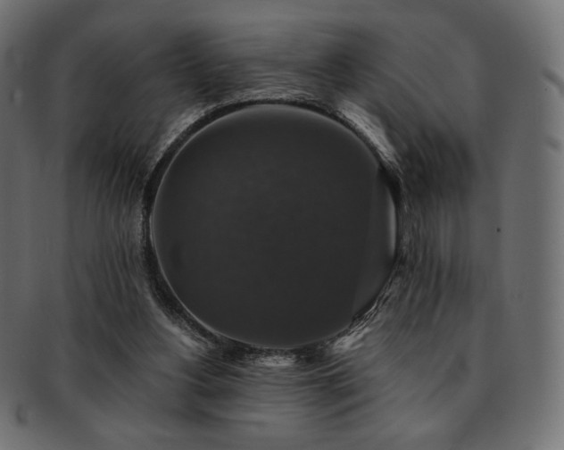 X0000093130156200709261355