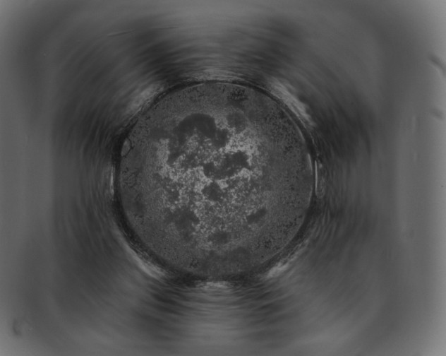 X0000093130157200709261355