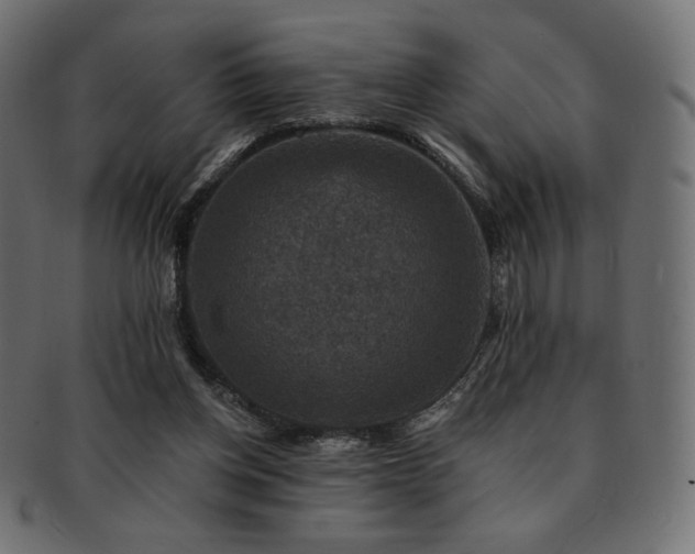 X0000093130158200709261355