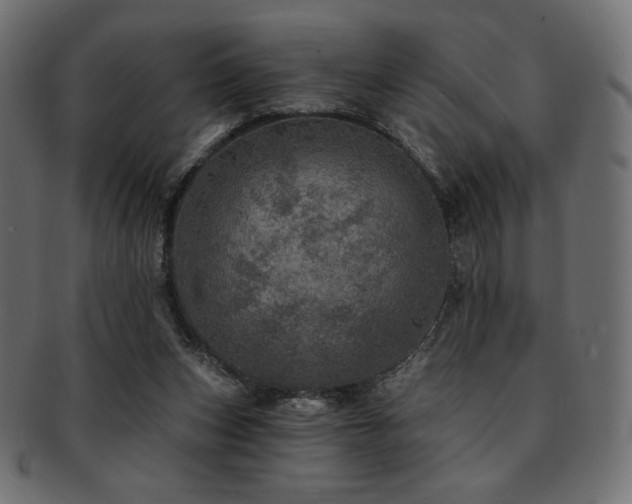 X0000093130159200709261355