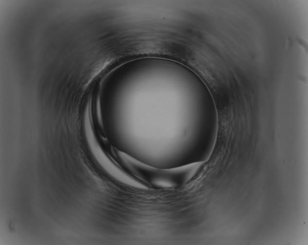 X0000093130160200709261355