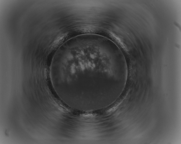 X0000093130161200709261355