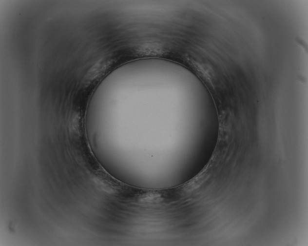 X0000093130162200709261355