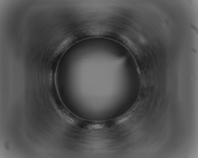 X0000093130163200709261355