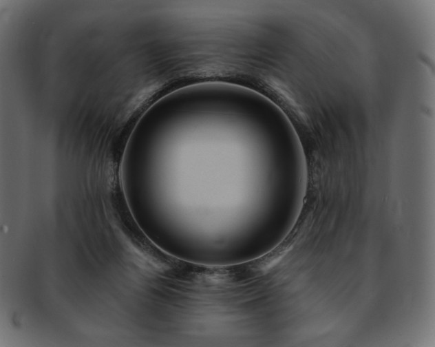 X0000093130164200709261355