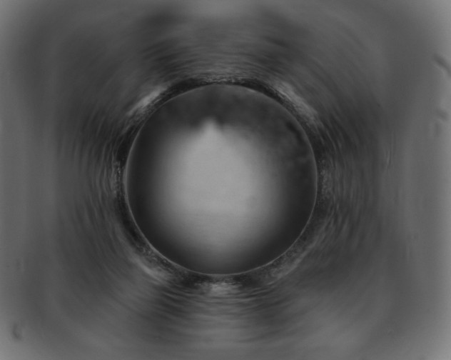 X0000093130165200709261355