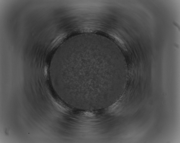X0000093130166200709261355