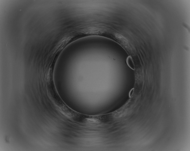 X0000093130167200709261355