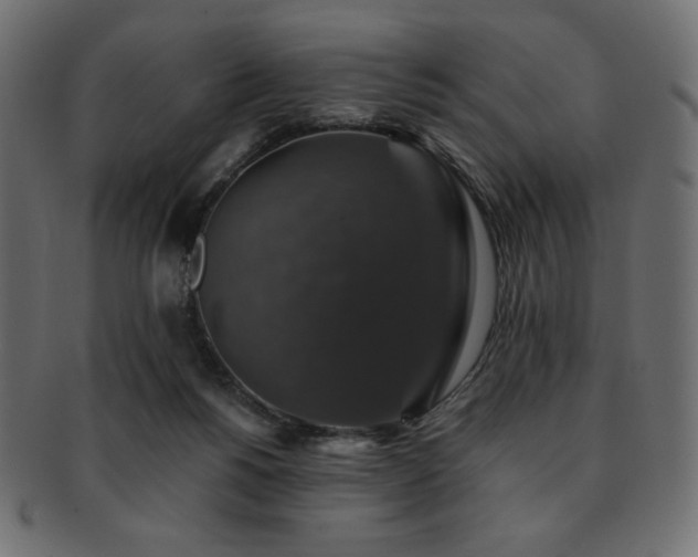 X0000093130168200709261355