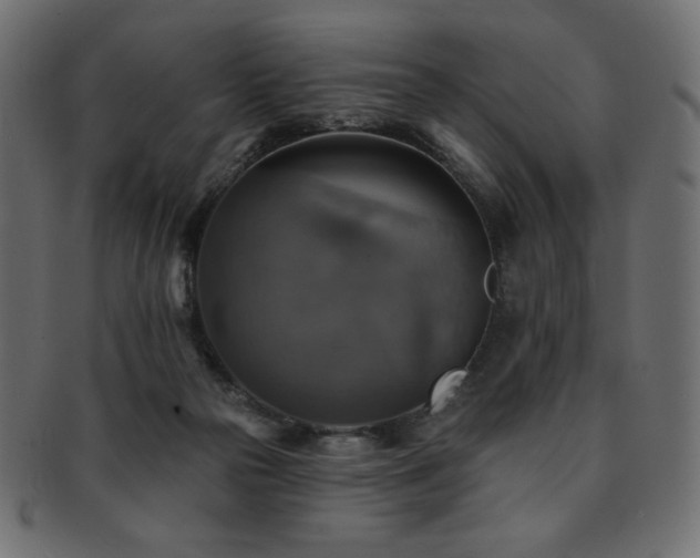 X0000093130169200709261355
