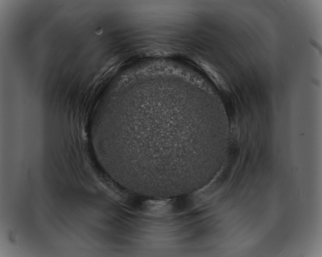 X0000093130170200709261356